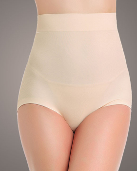 Euramerican High Waist Skin Color Nylon Panties