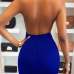  Sexy Turtleneck See-Through Backless Blue Polyester Sheath Knee Length Dress