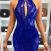  Sexy Turtleneck See-Through Backless Blue Polyester Sheath Knee Length Dress