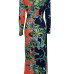 Euramerican V Neck Long Sleeves Floral Print Orange Healthy Fabric Floor Length Dress