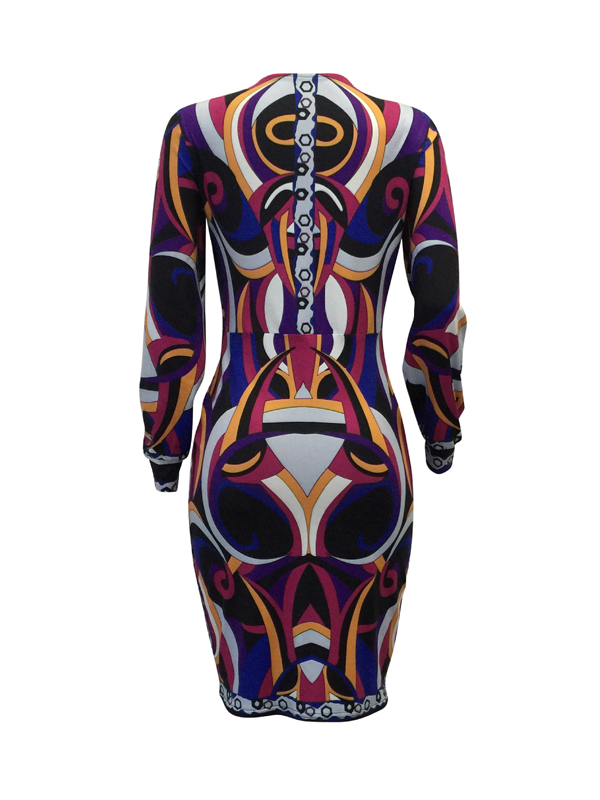 Euramerican V Neck Long Sleeves Printed Purple Polyester Knee Length Dress(Without Belt)