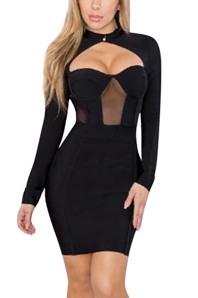 Sexy Round Neck Long Sleeves Hollow-out Black Polyester Sheath Mini Dress