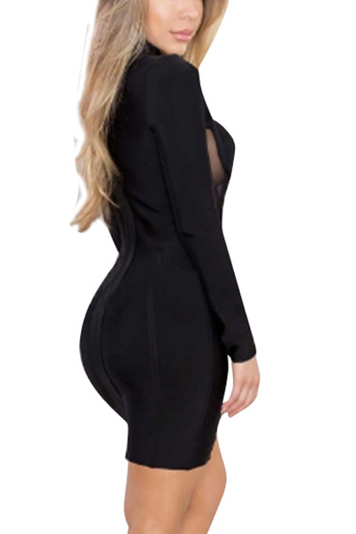 Sexy Round Neck Long Sleeves Hollow-out Black Polyester Sheath Mini Dress