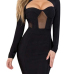 Sexy Round Neck Long Sleeves Hollow-out Black Polyester Sheath Mini Dress