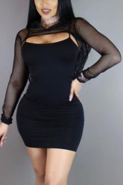 Sexy U-shaped Neck Long Sleeves Hollow-out Black Gauze Sheath Knee Length Dress