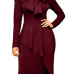 Trendy Turtleneck Bow-Tie Design Wine Red Polyester Sheath Knee Length Dress