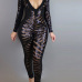 Sexy V Neck Long Sleeves See-Through Black Qmilch One-piece Skinny Jumpsuits