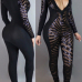 Sexy V Neck Long Sleeves See-Through Black Qmilch One-piece Skinny Jumpsuits