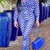 Euramerican Striped Printed Blue Healthy Fabric Two-piece Pants Set