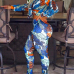 Euramerican V Neck Long Sleeves Printed Blue Milk Fiber Two-piece Pants Set