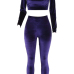 Stylish Bateau Neck Long Sleeves Purple Velvet Two-piece Pants Set