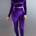 Stylish Bateau Neck Long Sleeves Purple Velvet Two-piece Pants Set